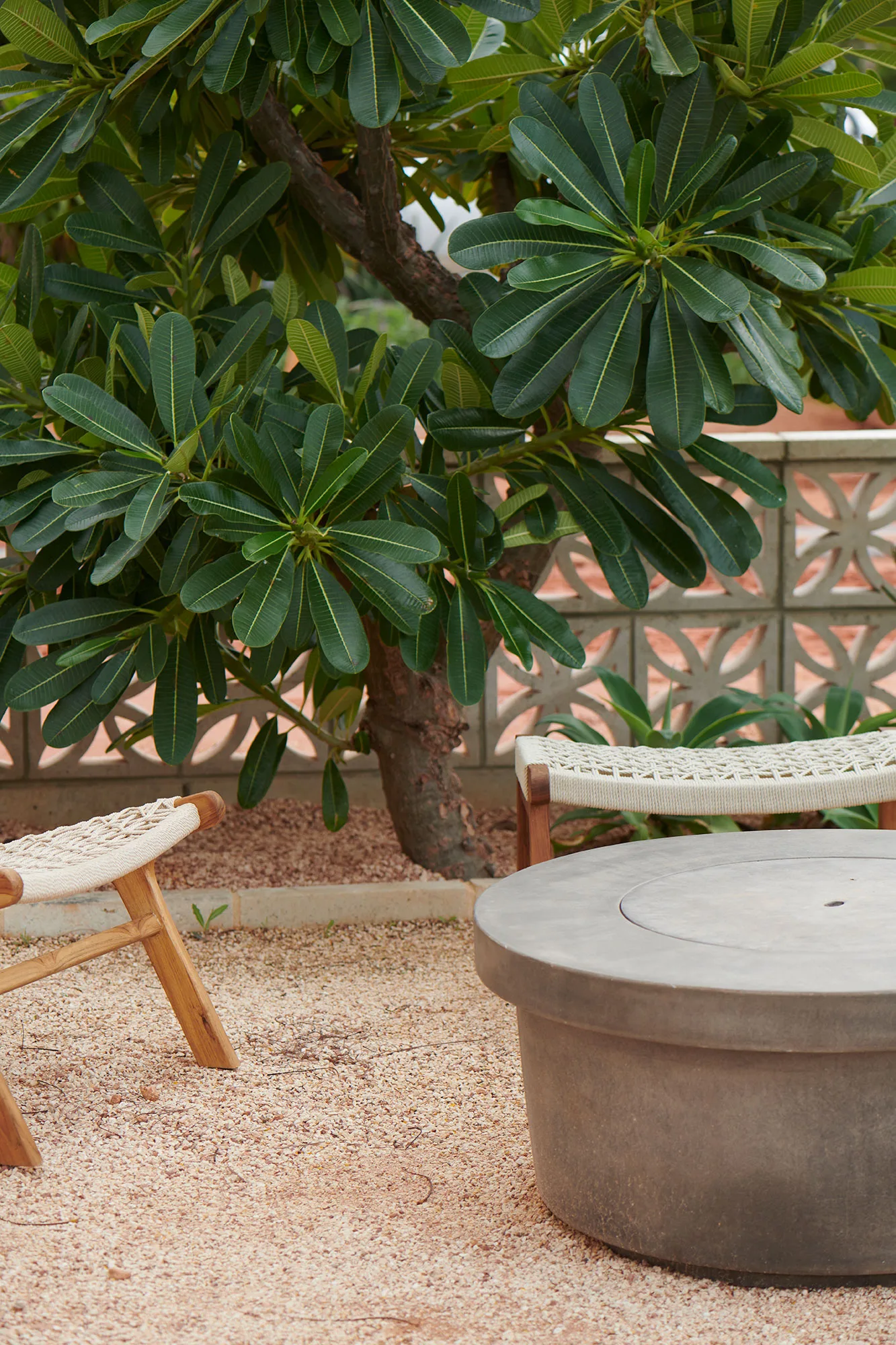 Exmouth I home — outdoor courtyard detail with frangipani tree and concrete fire pit