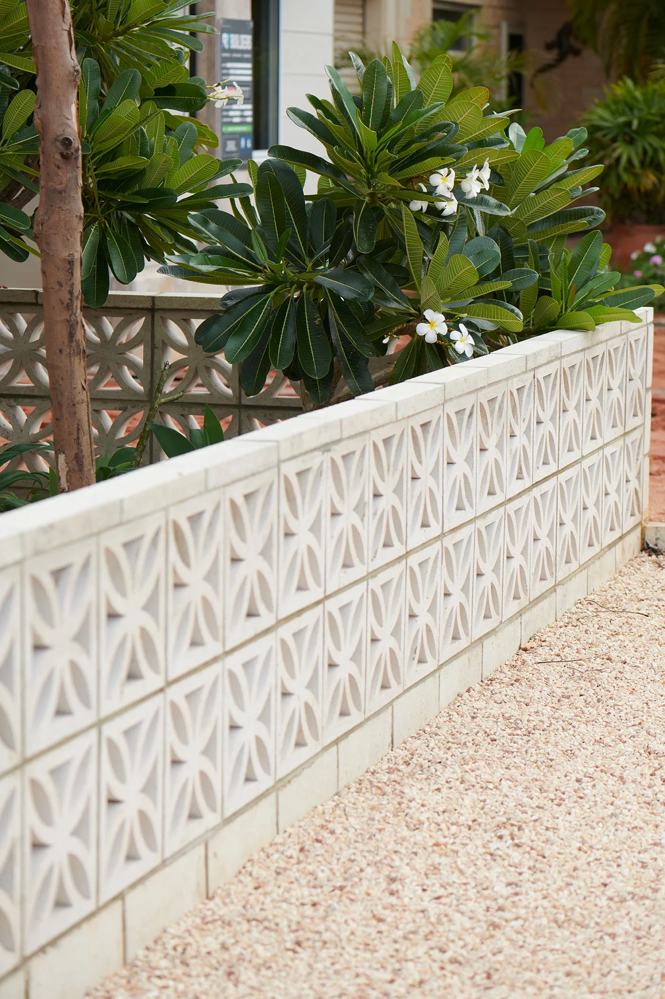 Exmouth I home — breeze block planter wall with frangipani in flower